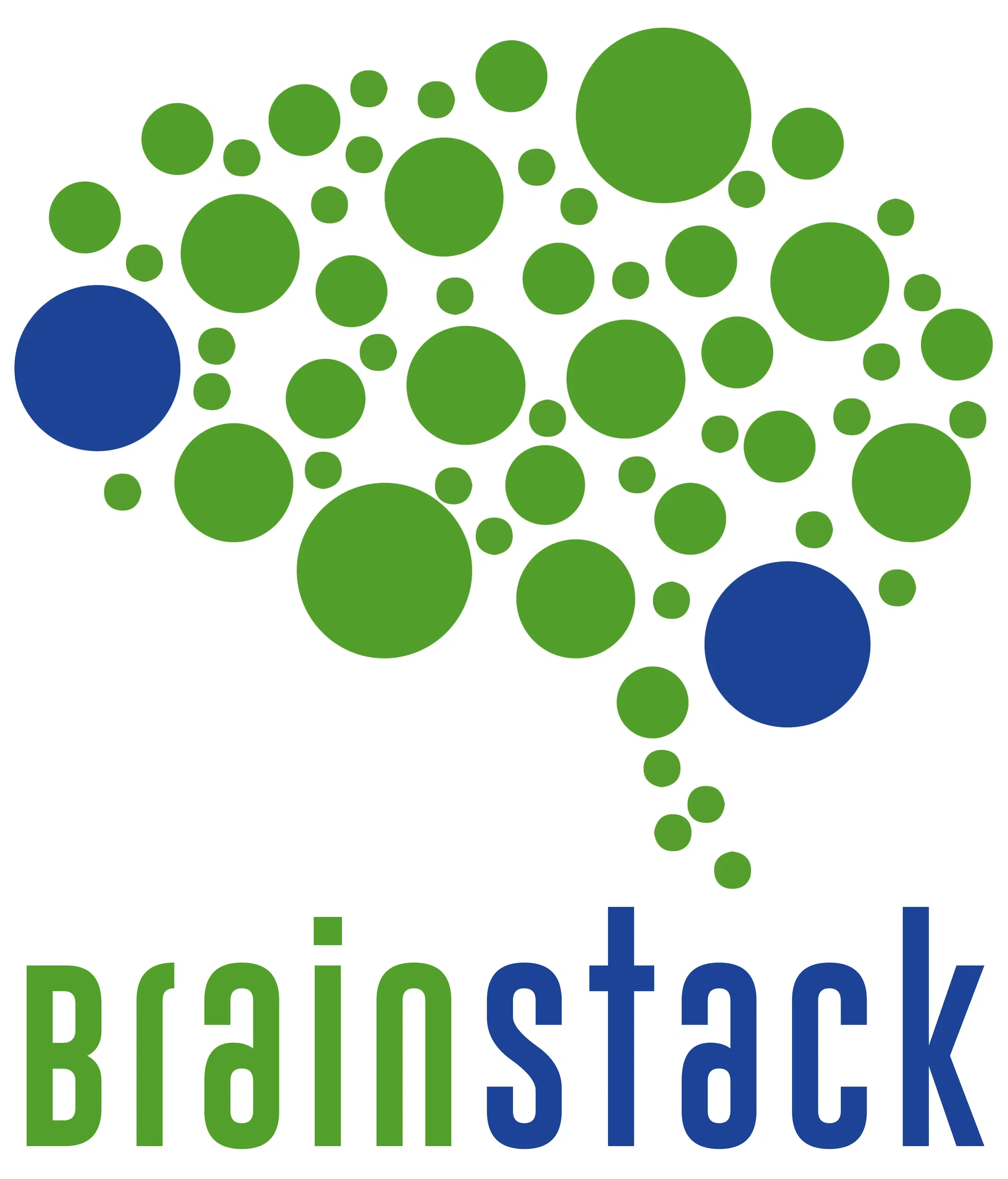 BrainStack Logo